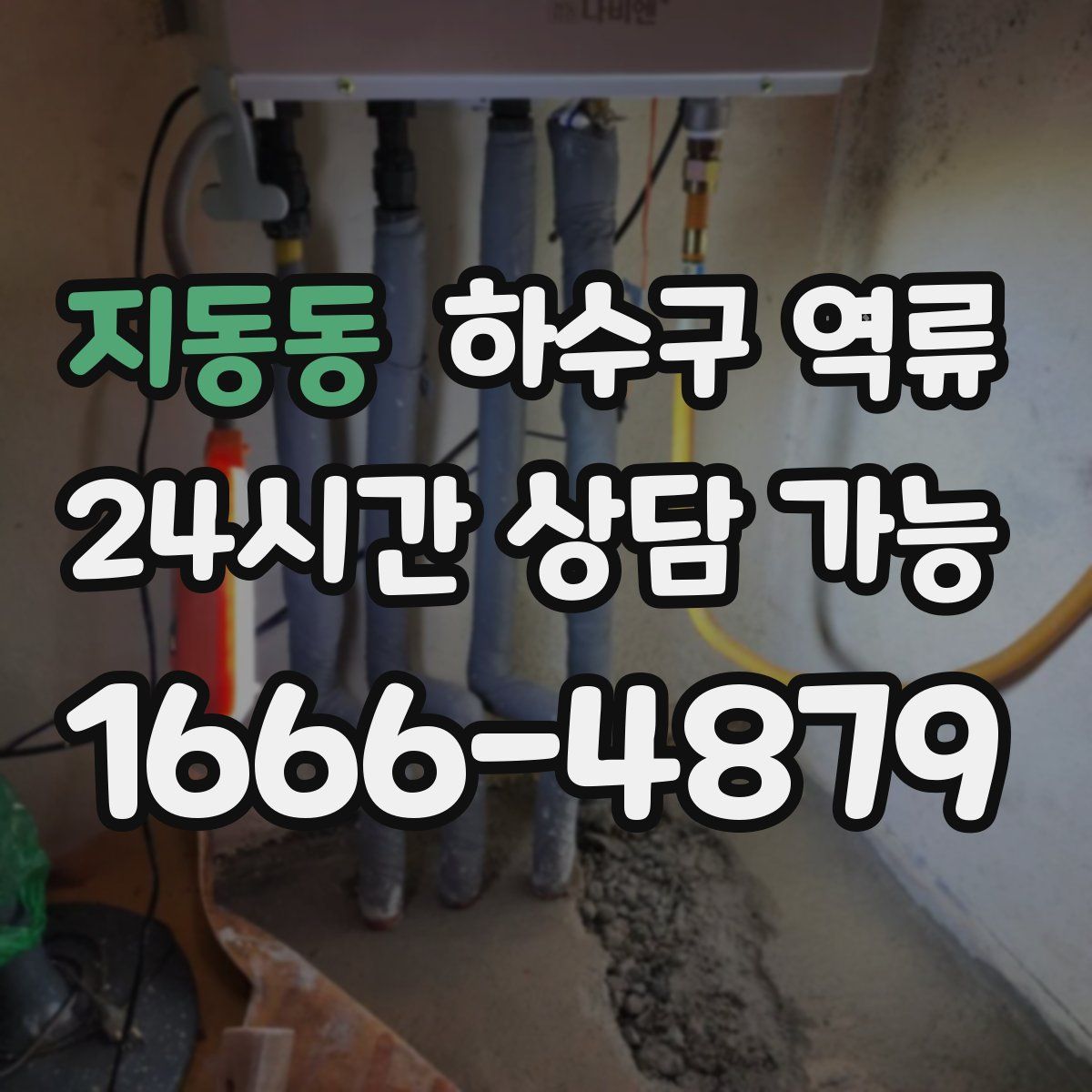 지동동 하수구 역류