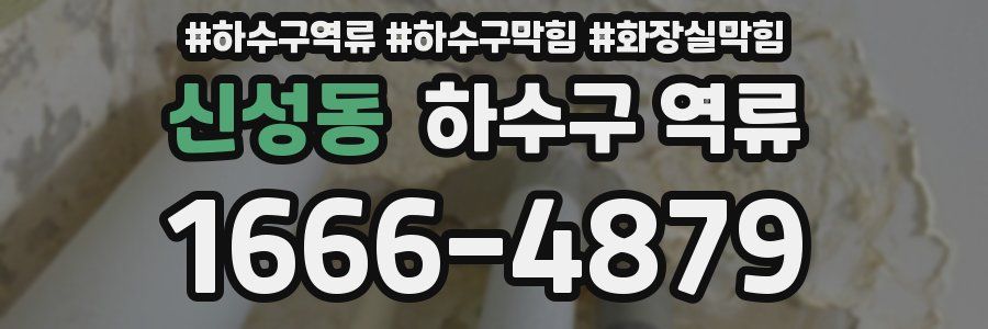 신성동 하수구 역류