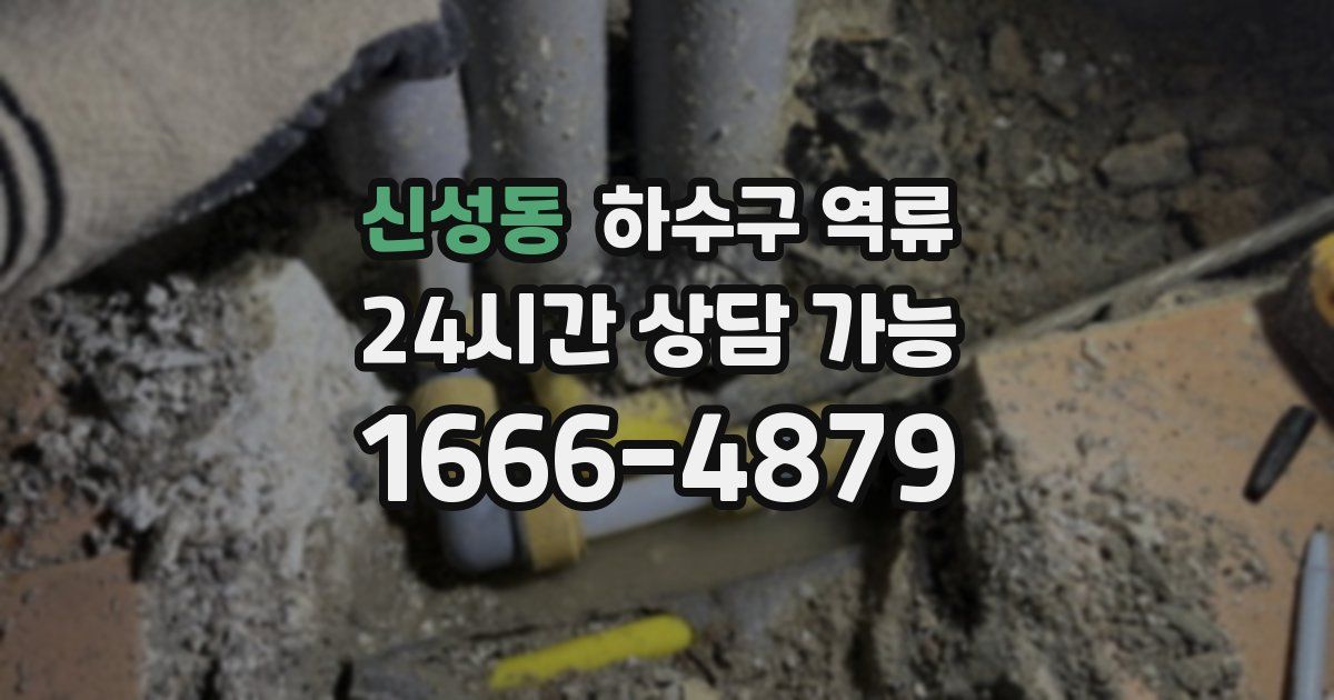 신성동 하수구 역류