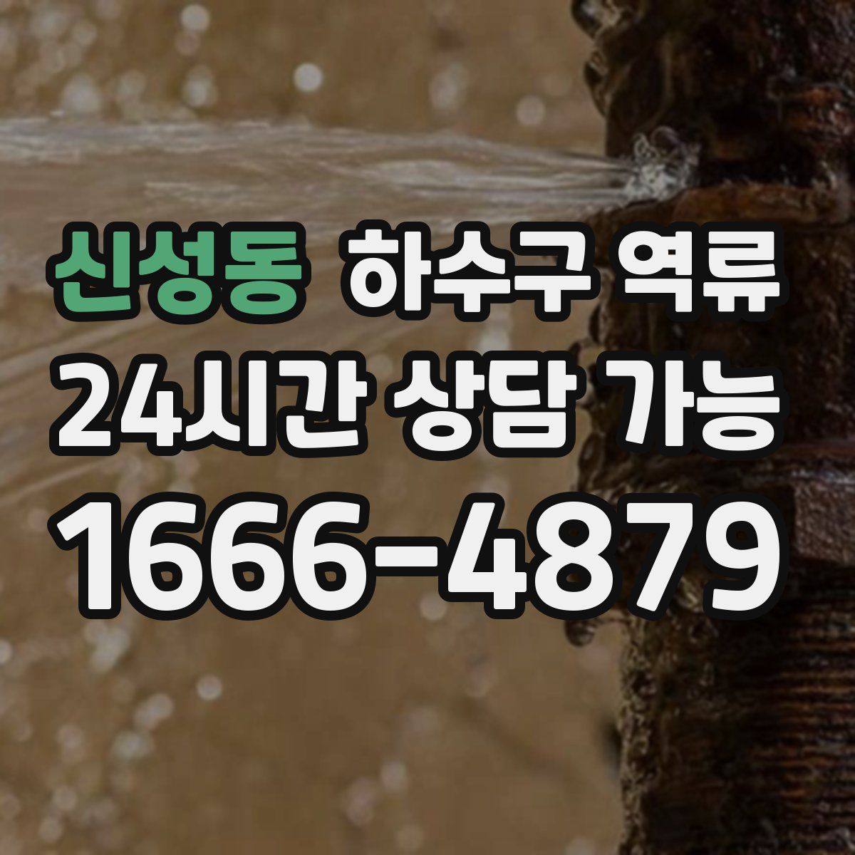 신성동 하수구 역류