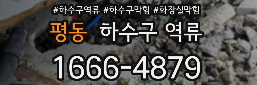 평동 하수구 역류