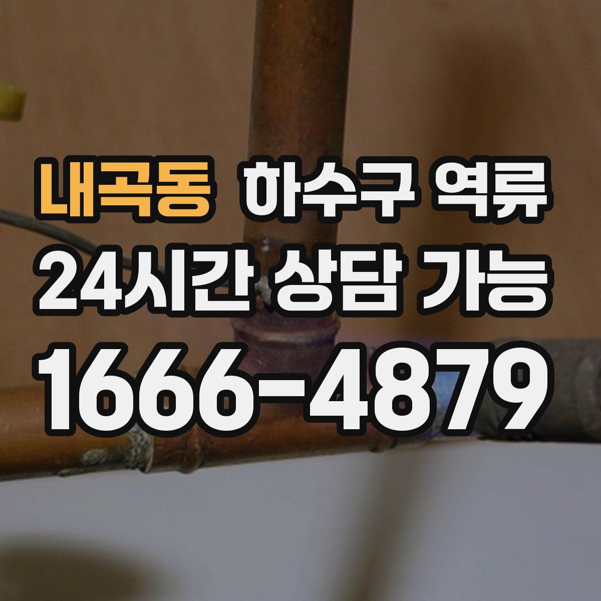 내곡동 하수구 역류