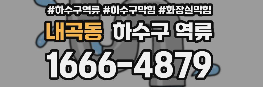 내곡동 하수구 역류