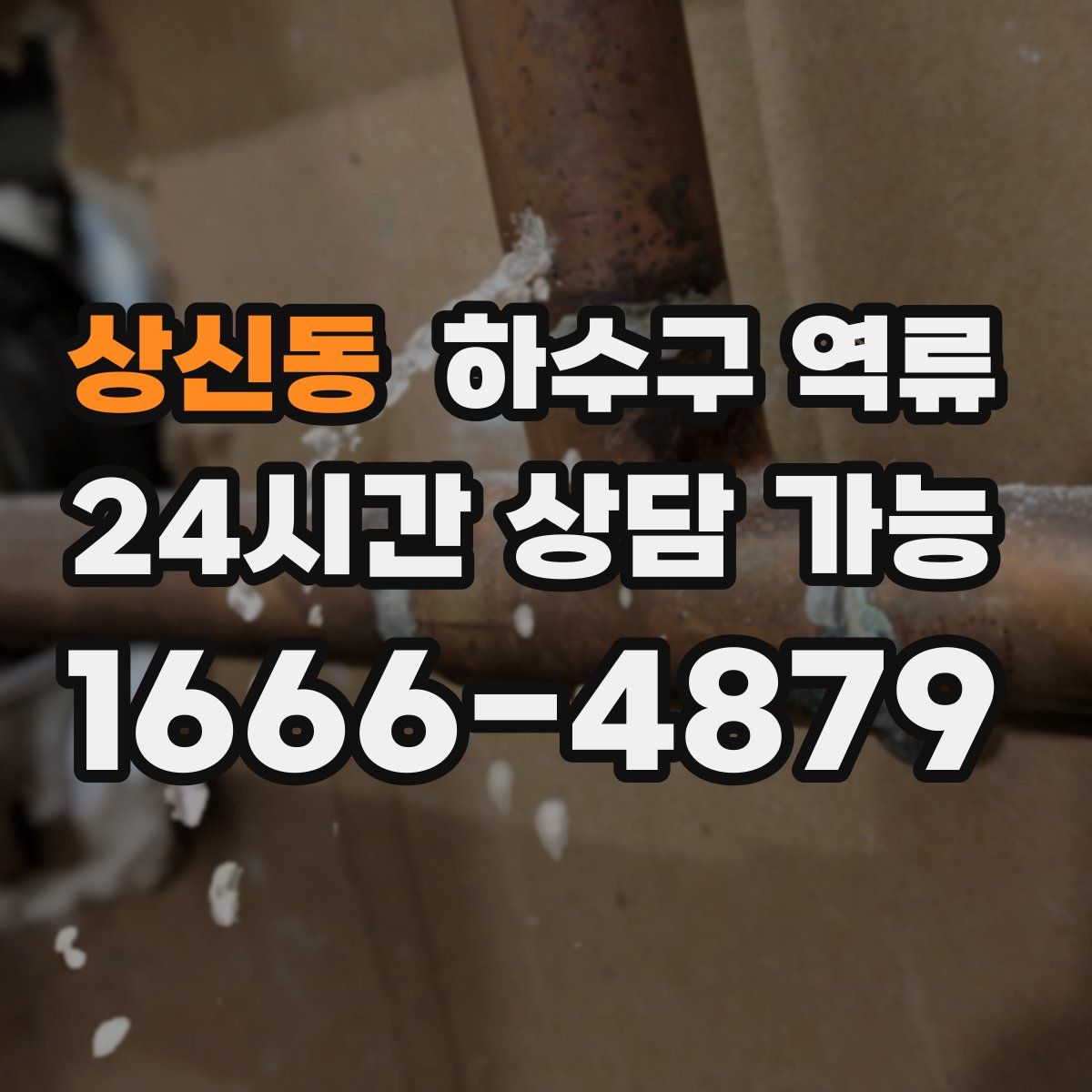 상신동 하수구 역류