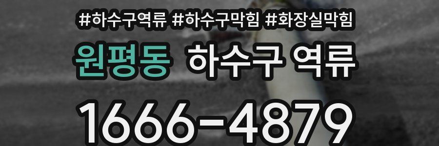 원평동 하수구 역류