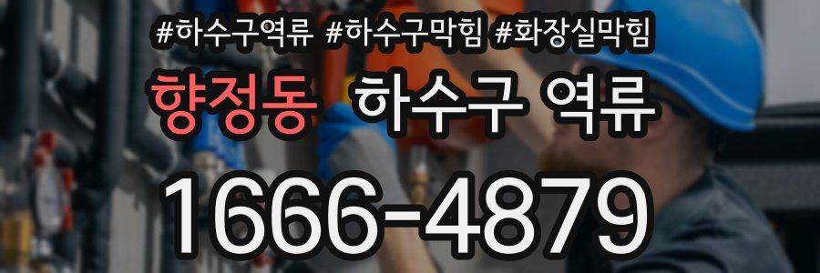 향정동 하수구 역류