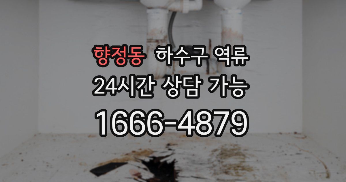 향정동 하수구 역류