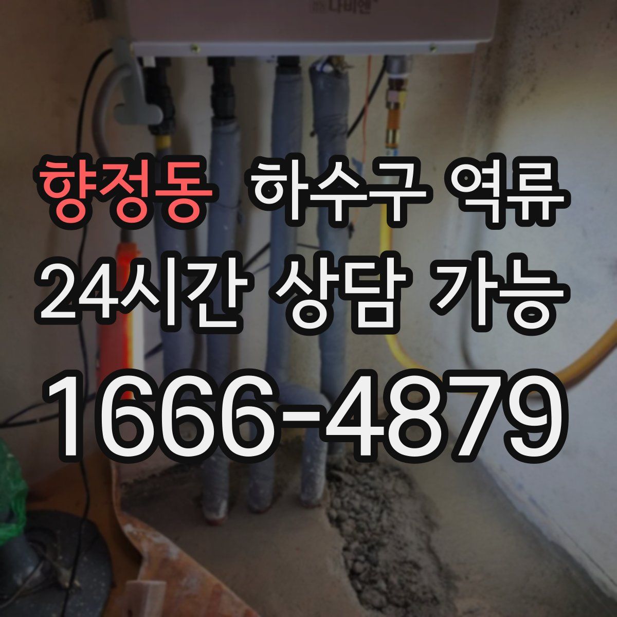 향정동 하수구 역류