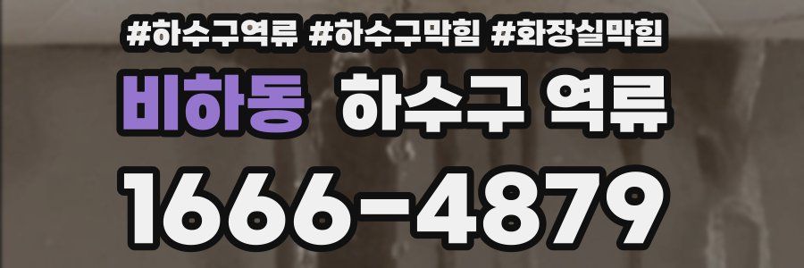 비하동 하수구 역류