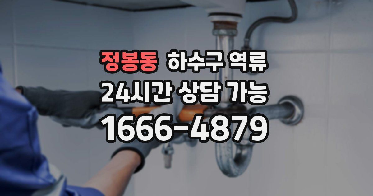 정봉동 하수구 역류