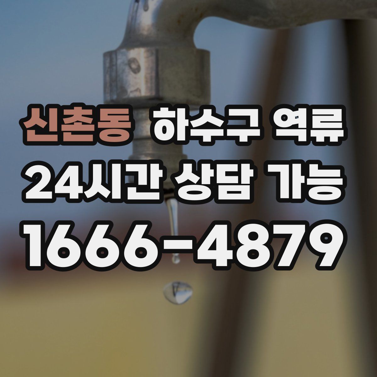신촌동 하수구 역류