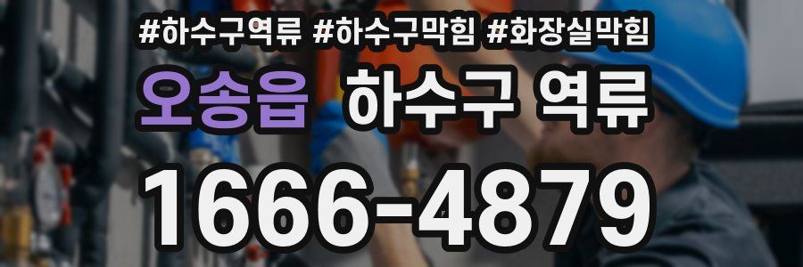 오송읍 하수구 역류