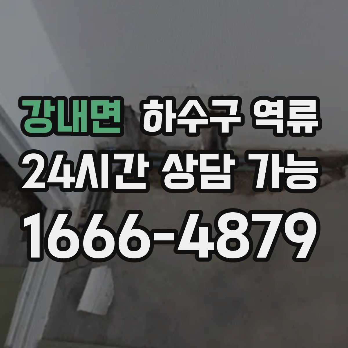 강내면 하수구 역류