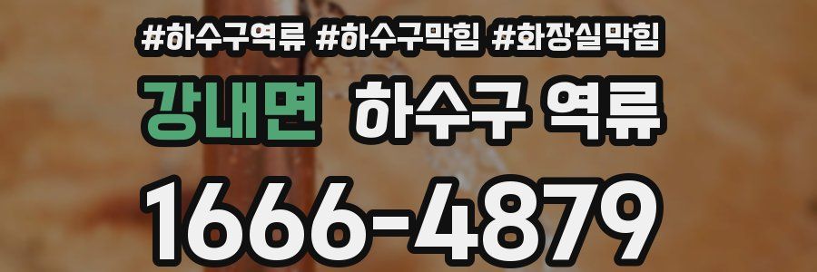 강내면 하수구 역류