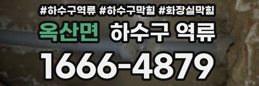 옥산면 하수구 역류