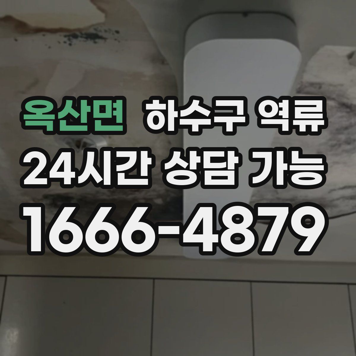 옥산면 하수구 역류