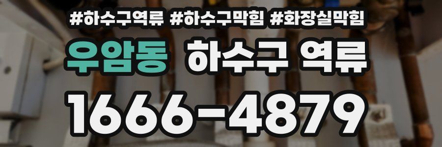 우암동 하수구 역류