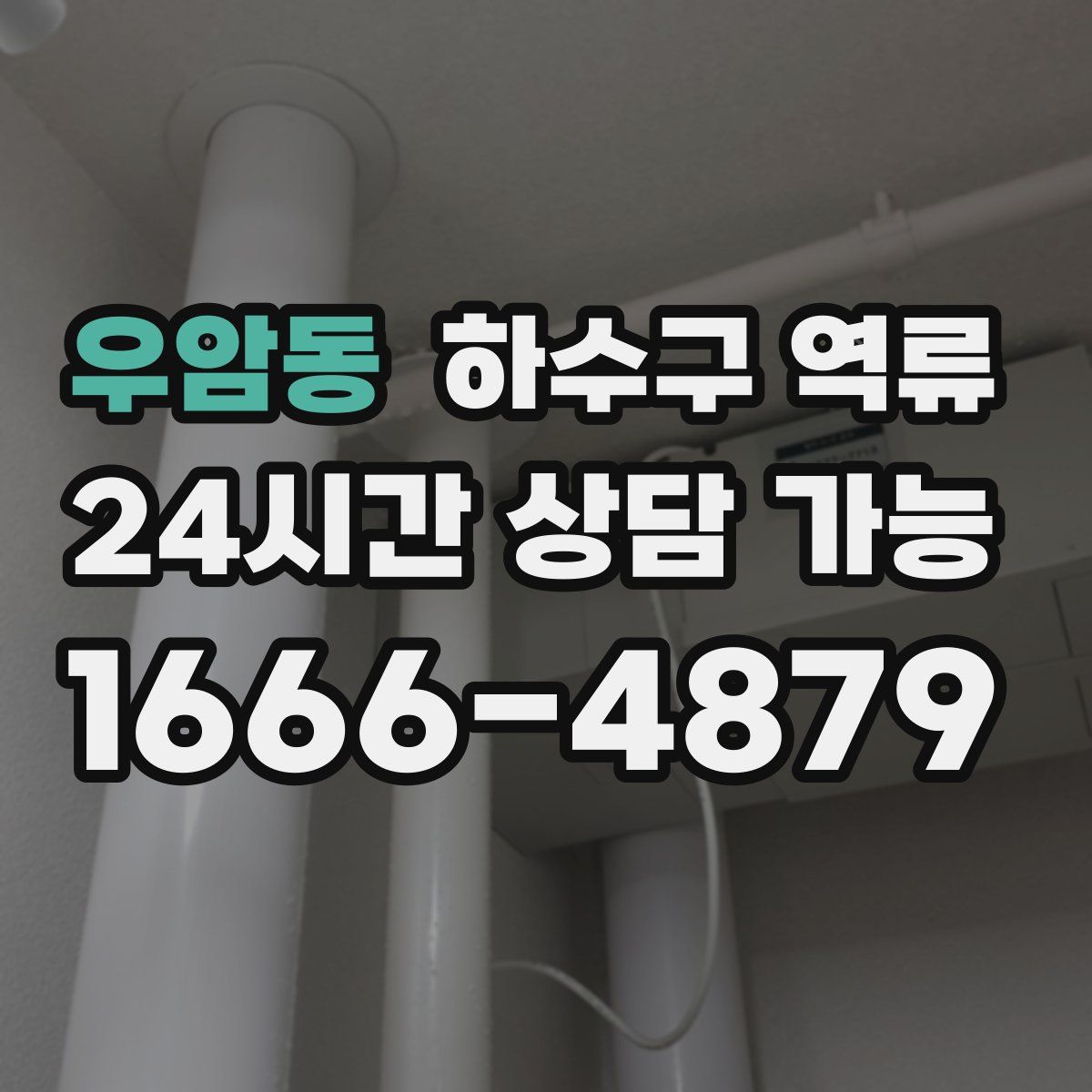 우암동 하수구 역류