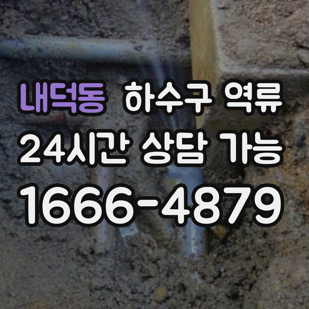 내덕동 하수구 역류