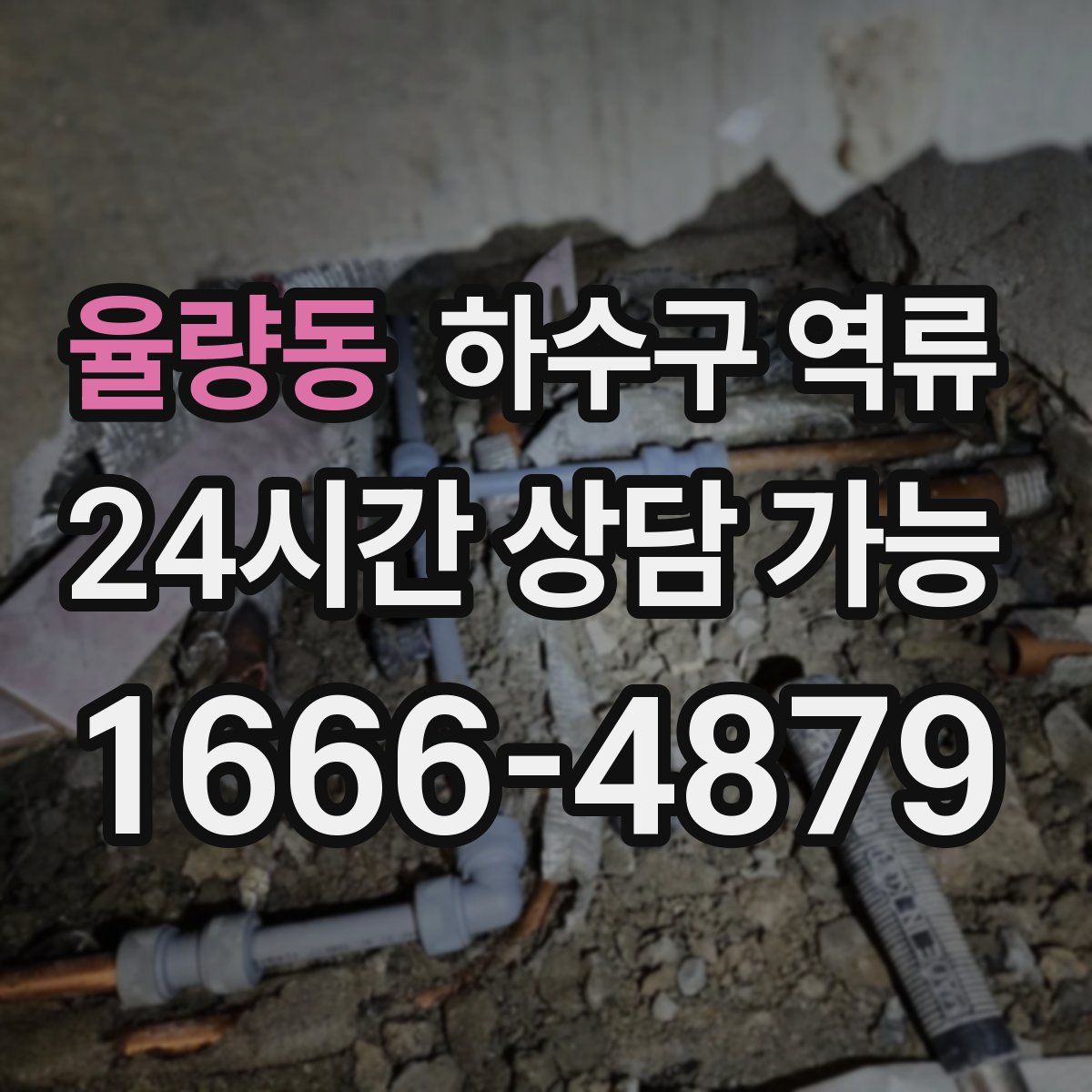 율량동 하수구 역류