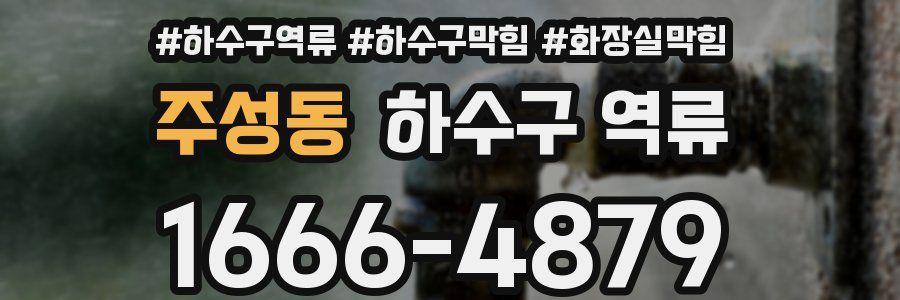 주성동 하수구 역류