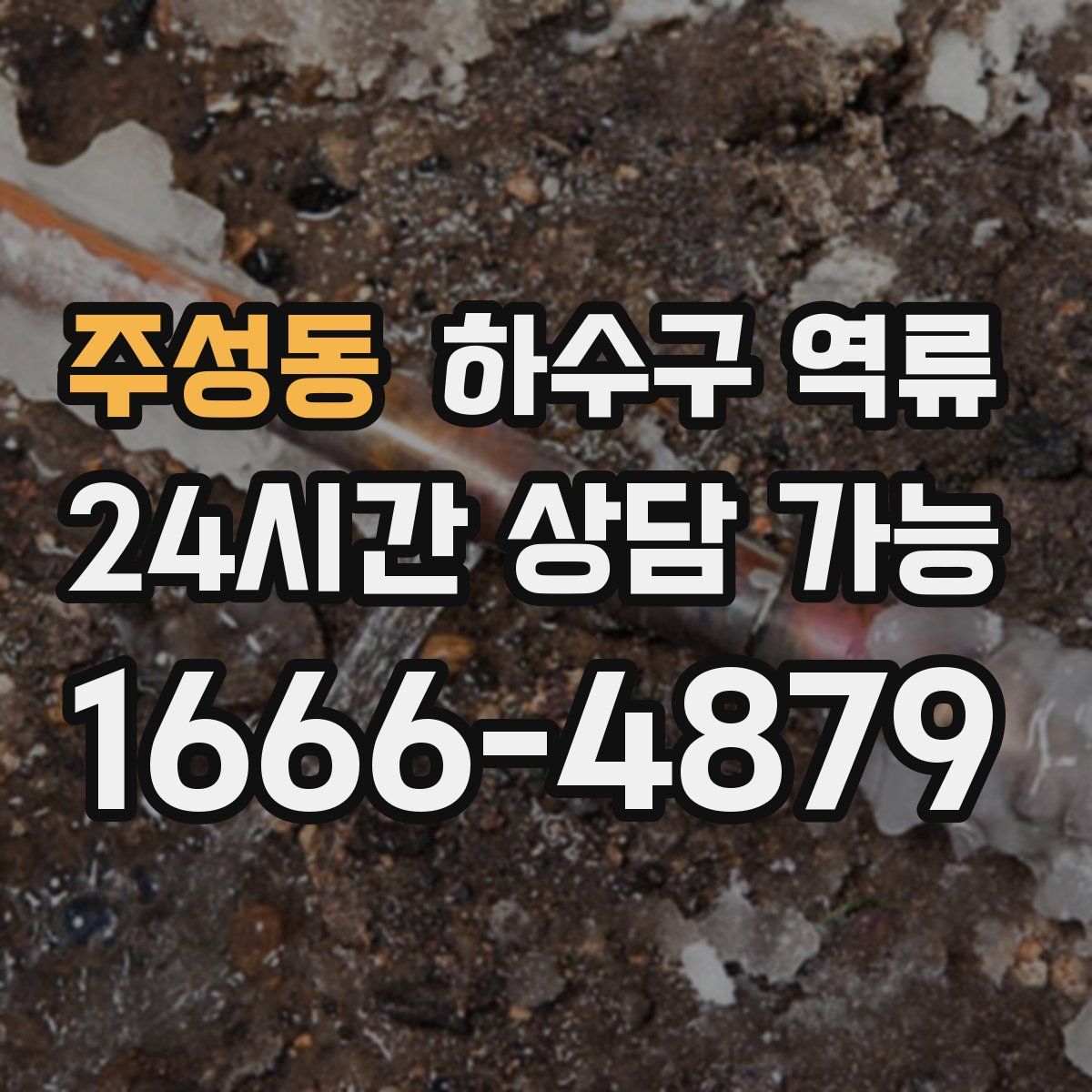 주성동 하수구 역류