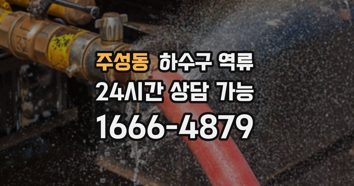 주성동 하수구 역류