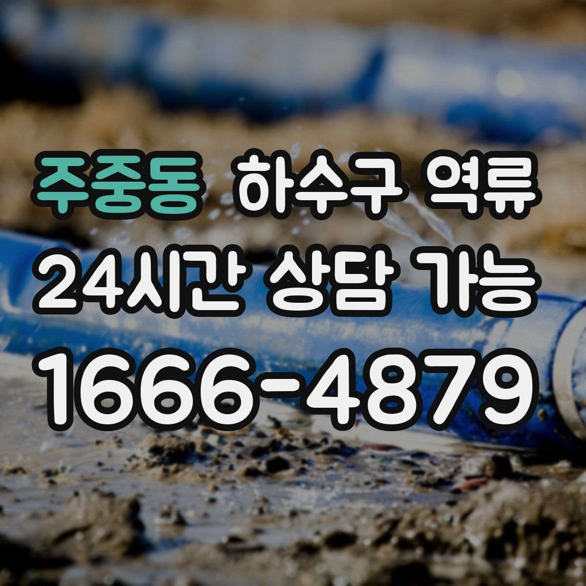 주중동 하수구 역류