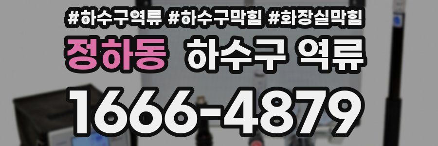 정하동 하수구 역류