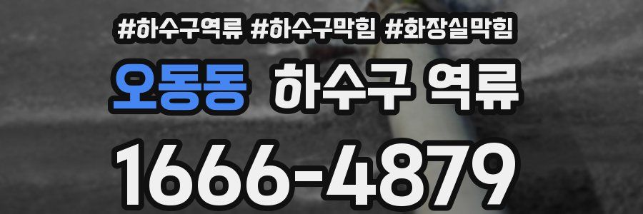 오동동 하수구 역류