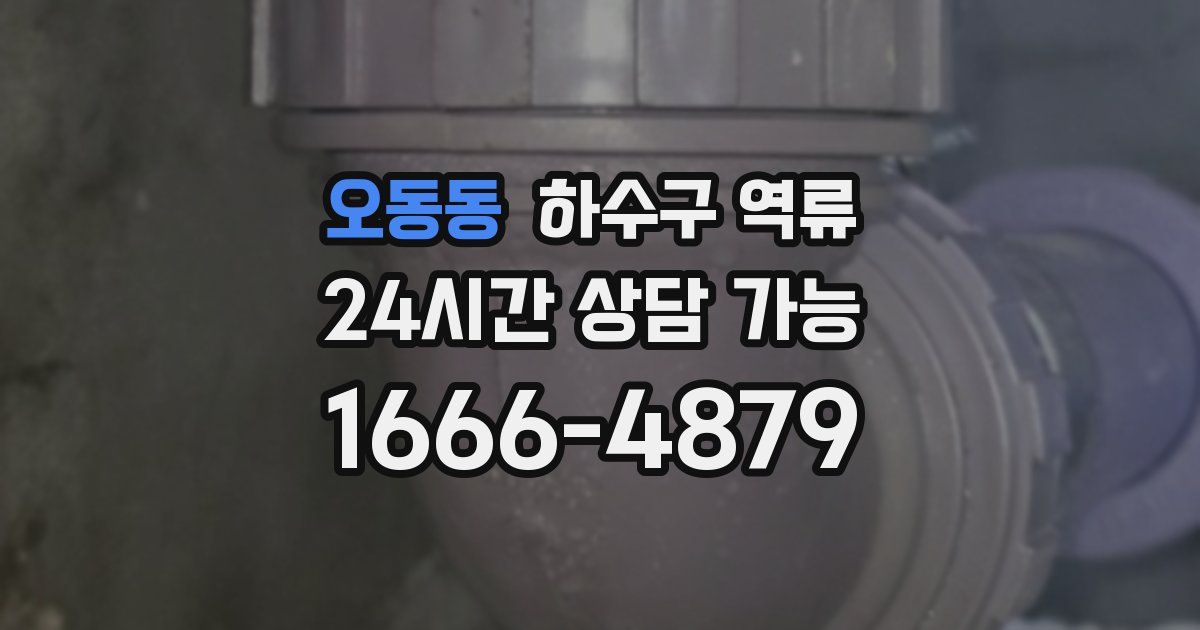 오동동 하수구 역류