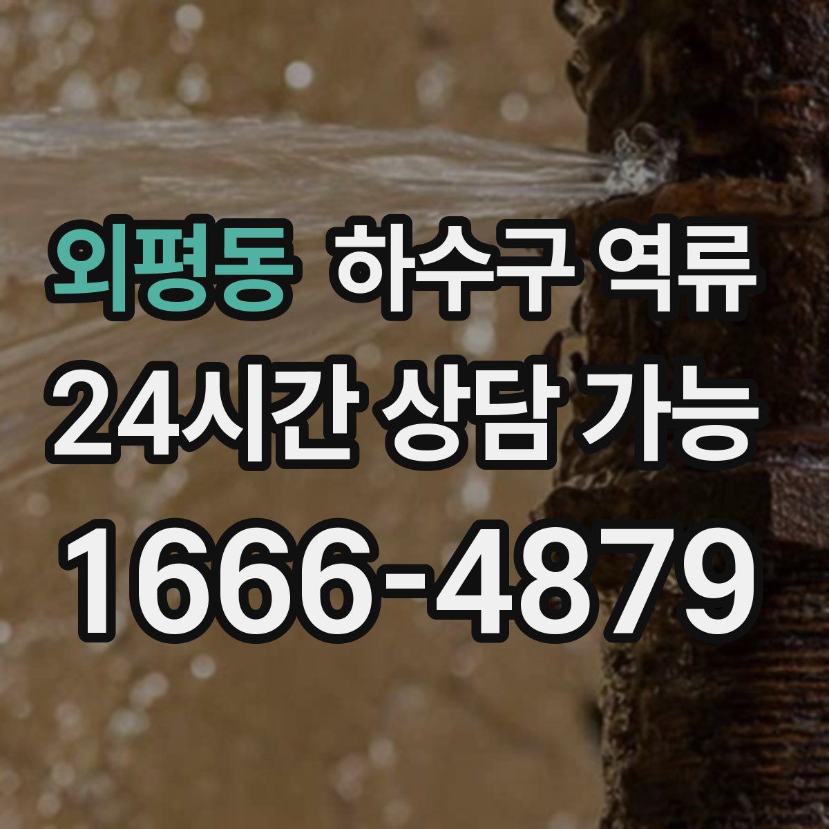 외평동 하수구 역류