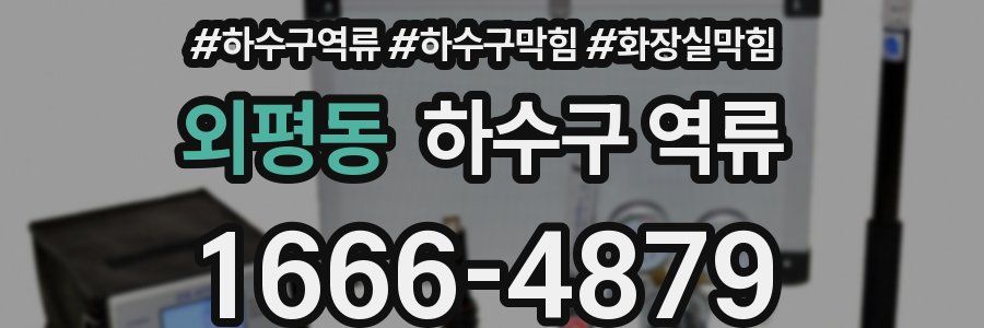 외평동 하수구 역류