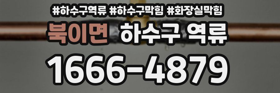 북이면 하수구 역류