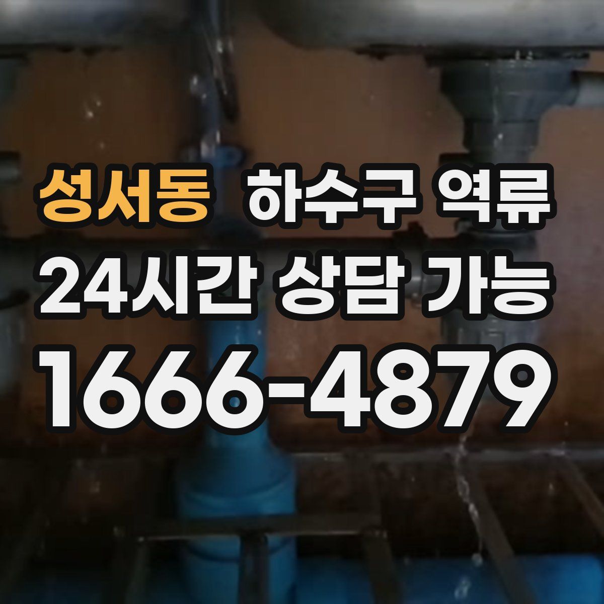 성서동 하수구 역류