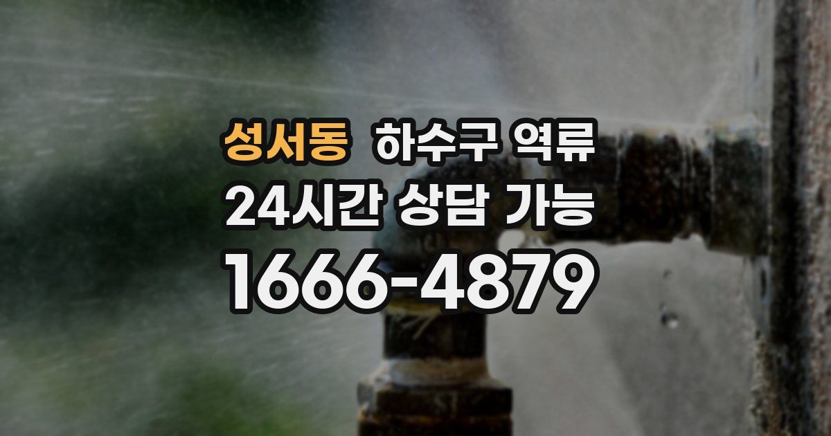 성서동 하수구 역류