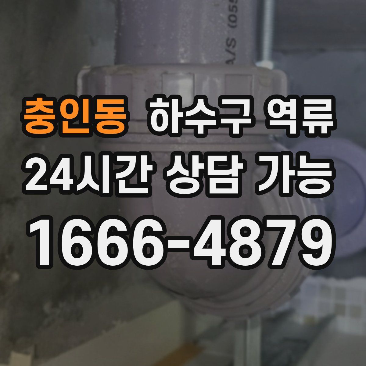 충인동 하수구 역류