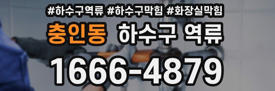 충인동 하수구 역류