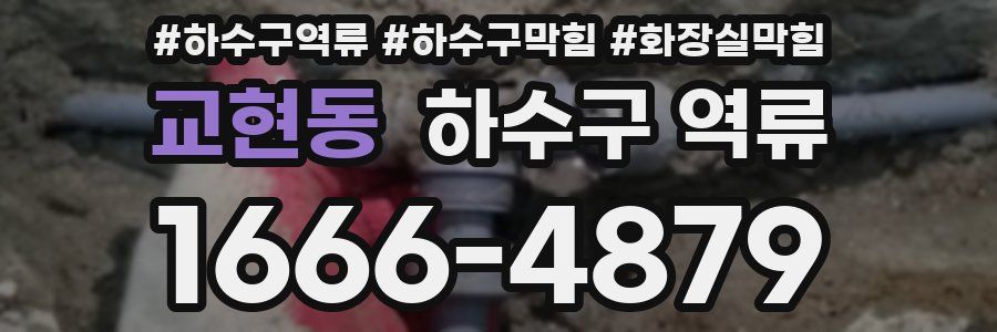 교현동 하수구 역류