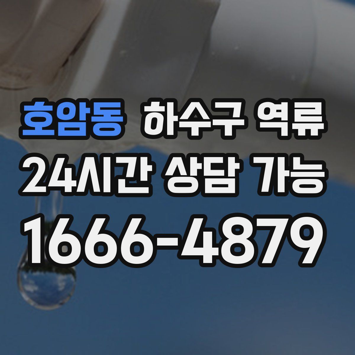 호암동 하수구 역류