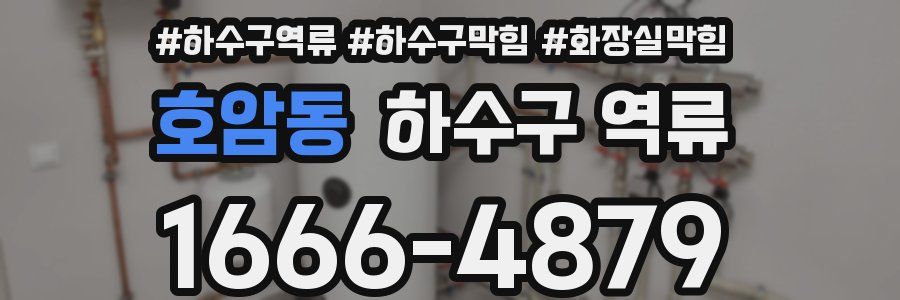 호암동 하수구 역류