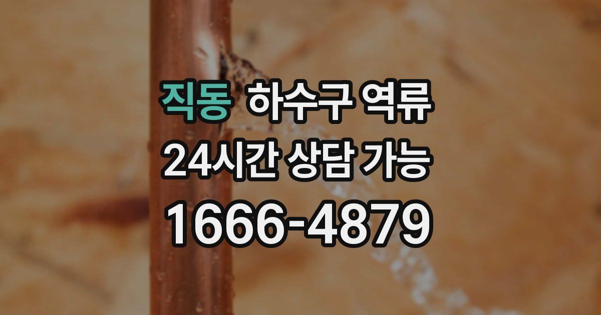 직동 하수구 역류