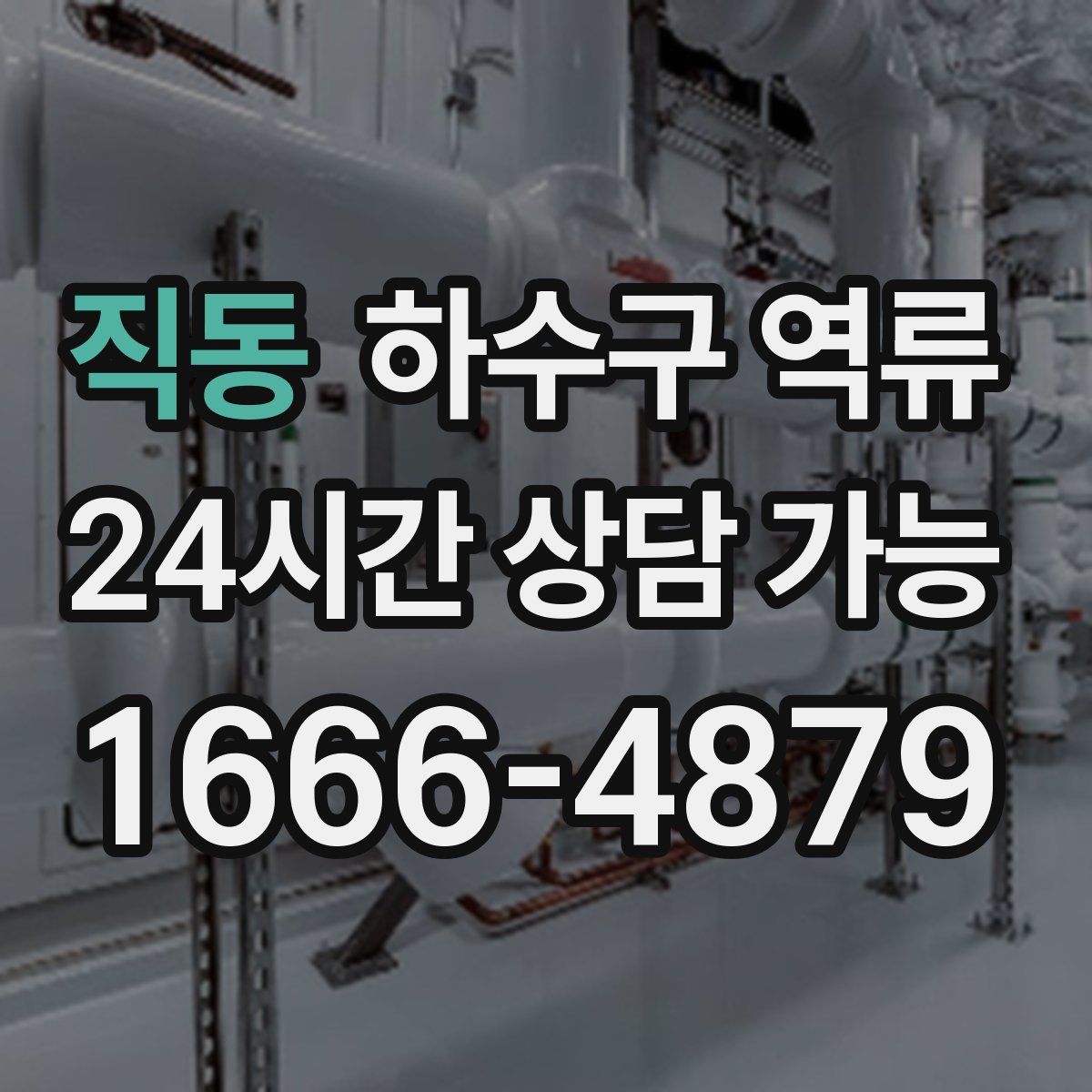 직동 하수구 역류