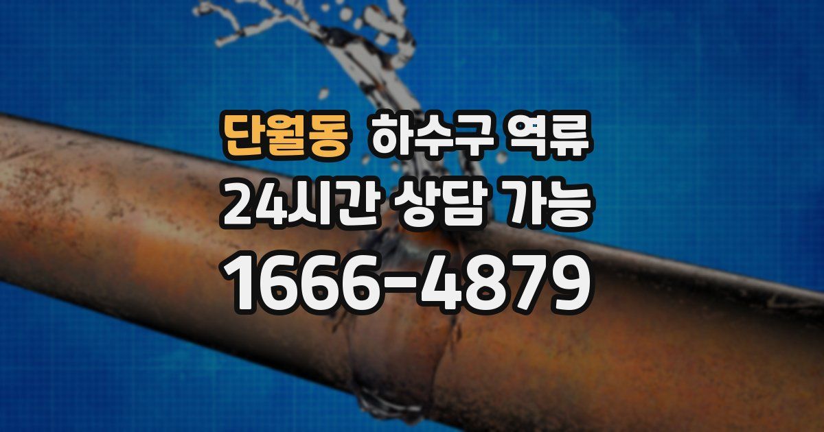단월동 하수구 역류