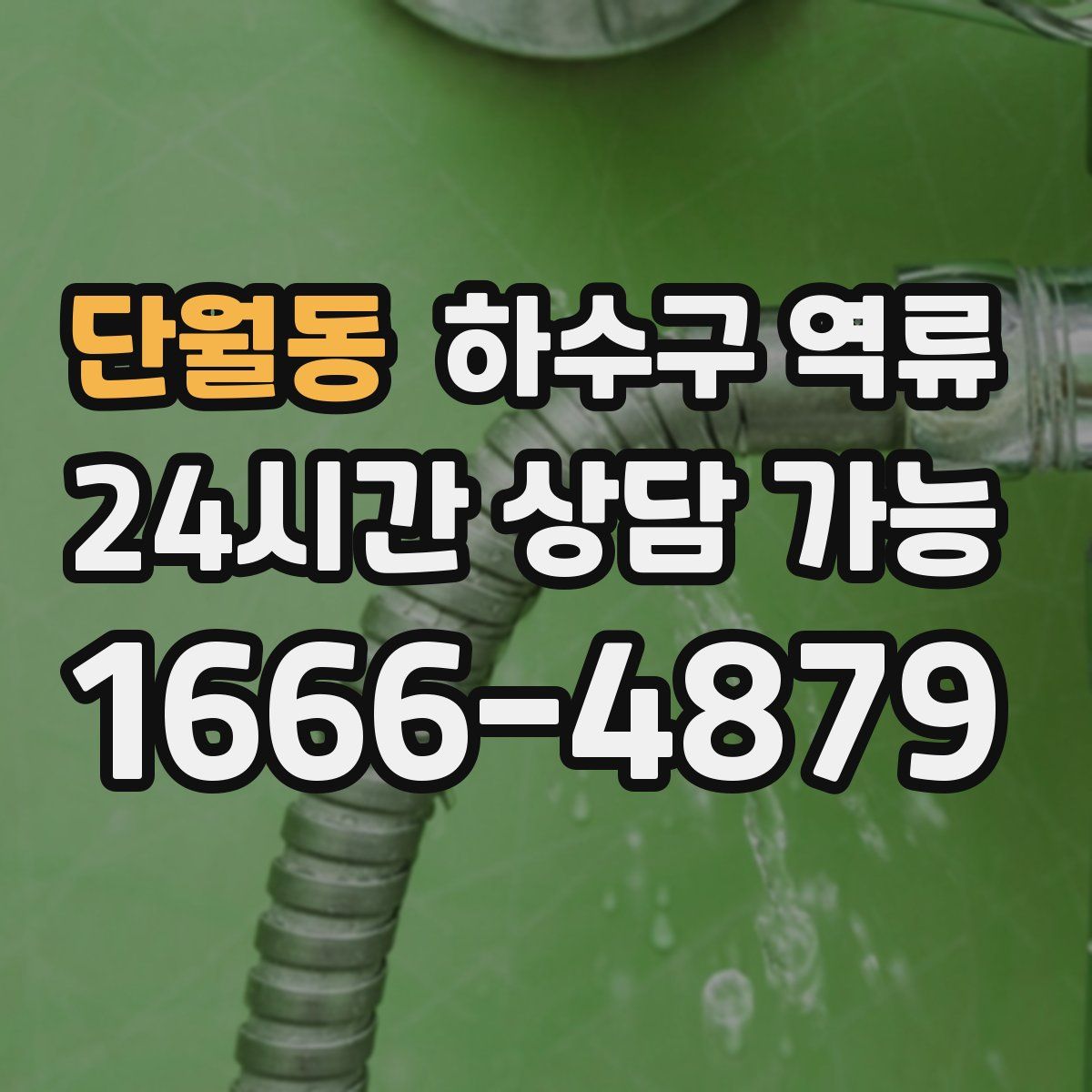 단월동 하수구 역류