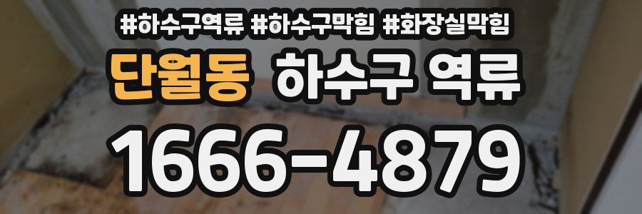 단월동 하수구 역류