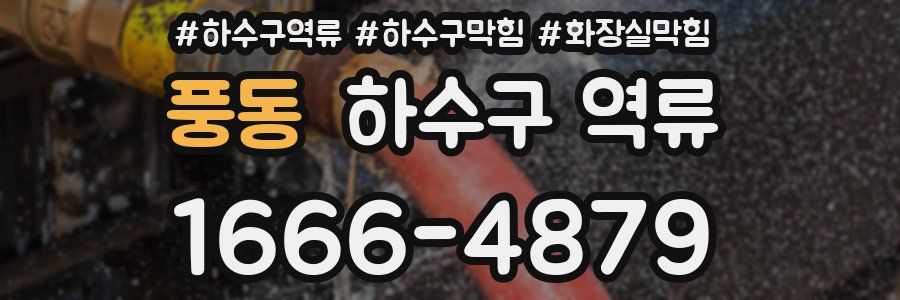 풍동 하수구 역류