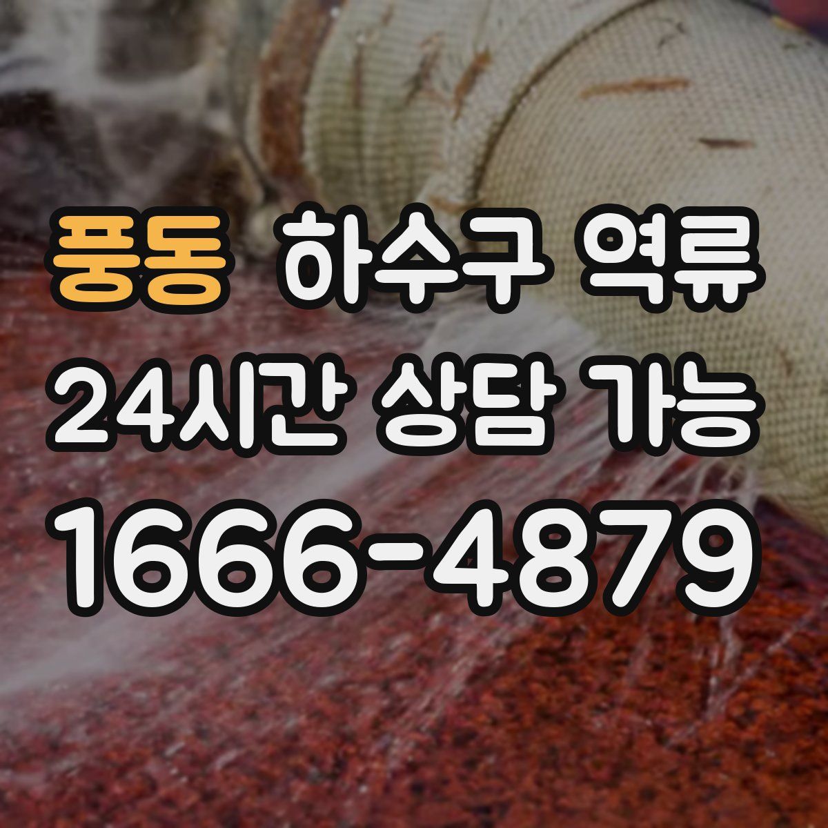 풍동 하수구 역류