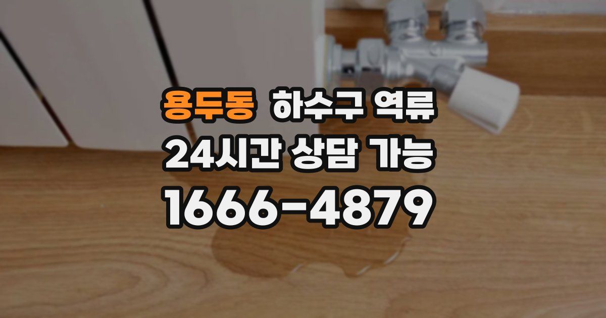 용두동 하수구 역류