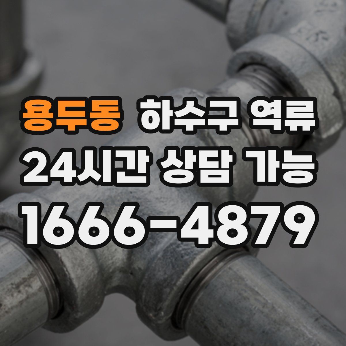 용두동 하수구 역류